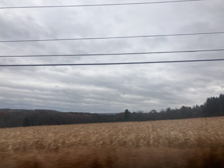 Overnight Trip to New York: Notes